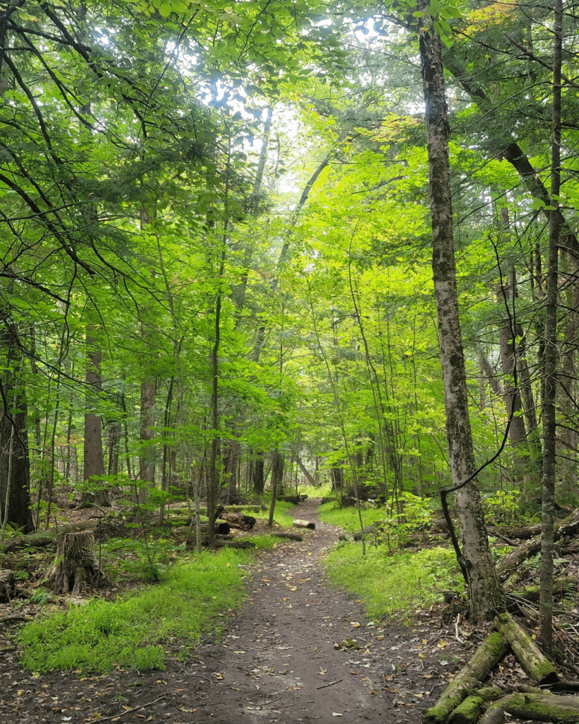 Trails located within the Greenbelt