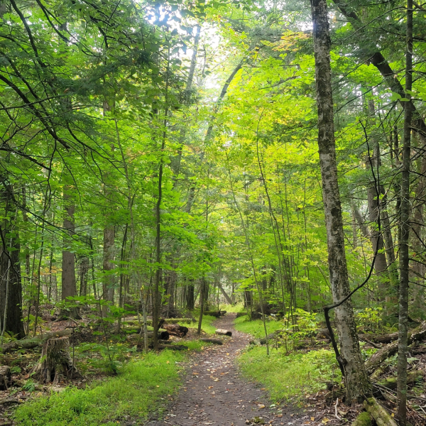 NCC Trails